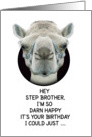 Happy Birthday Step Brother Funny Camel card