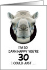 30th Birthday Happy Birthday Funny Camel Humorous Animal card