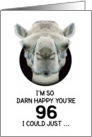 96th Birthday Happy Birthday Funny Camel Humorous Animal card