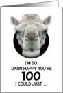 100th Birthday Happy Birthday Funny Camel Humorous Animal card