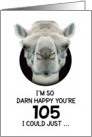 105th Birthday Happy Birthday Funny Camel Humorous Animal card