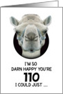 110th Birthday Happy Birthday Funny Camel Humorous Animal card