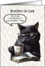 Brother in Law Birthday Humorous Sarcastic Black Cat card