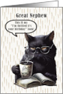 Great Nephew Birthday Humorous Sarcastic Black Cat card