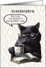 Grandnephew Birthday Humorous Sarcastic Black Cat card