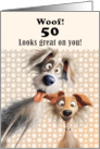 50th Birthday For Anyone Silly Dogs Humor card
