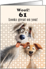 61st Birthday For Anyone Silly Dogs Humor card