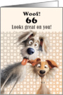 66th Birthday For Anyone Silly Dogs Humor card