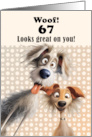 67th Birthday For Anyone Silly Dogs Humor card