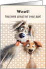 Funny Birthday For Anyone Silly Dogs Humor card