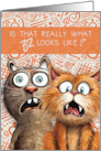 32nd Birthday Funny Surprised Cats card