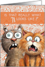71st Birthday Funny Surprised Cats card