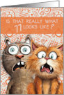77th Birthday Funny Surprised Cats card