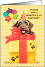 Wirehaired Pointing Griffon Birthday Greeting with Balloons and Gift card