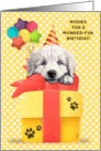 Great Pyrenees Birthday Greeting with Balloons and Mouse card