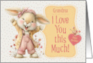 Grandma Birthday from Granddaughter Adorable Pink Bunny card