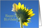 Sunflower Reaching for the Sky Happy Birthday card