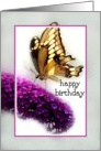 Butterfly Bush with Butterfly Happy Birthday card