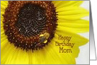 Happy Birthday to Mom Photograph of a Sunflower and Bee card