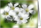 Happy Birthday To You Summer Snow Flowers card