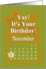 November 17th Yay It’s Your Birthday date specific card