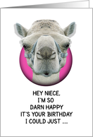 Happy Birthday Niece Funny Camel card