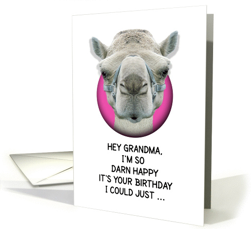 Happy Birthday Grandma Funny Camel card (1135596)