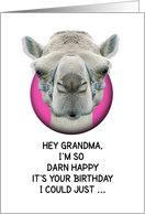 Happy Birthday Grandma Funny Camel card