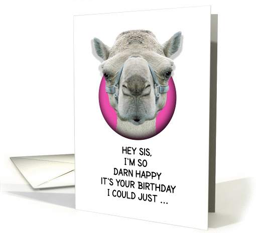 Happy Birthday Sis Funny Camel card (1135602)