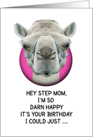 Happy Birthday Step Mom Funny Camel card