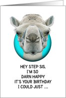 Happy Birthday Step Sis Funny Camel card