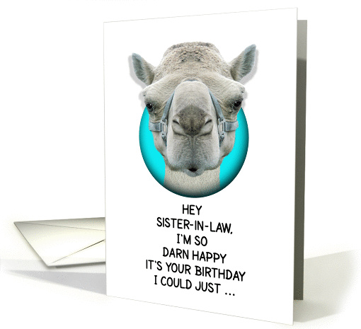 Happy Birthday Sister-in-Law Funny Camel card (1135616)