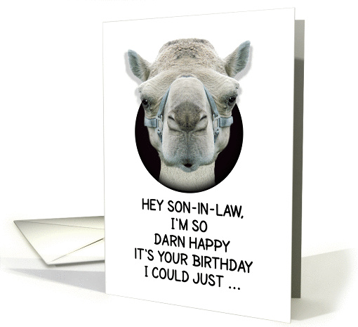 Happy Birthday Son-in-Law Funny Camel card (1135628)