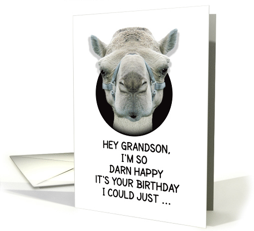 Happy Birthday to Adult Grandson Funny Camel card (1135834)