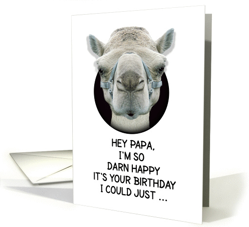 Happy Birthday Papa Funny Camel card (1135838)