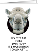 Happy Birthday Step Dad Funny Camel card
