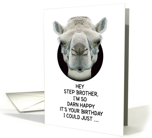 Happy Birthday Step Brother Funny Camel card (1135846)