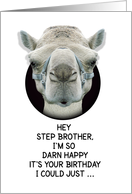 Happy Birthday Step Brother Funny Camel card