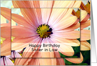 Happy Birthday Sister in Law Pretty Gerber Daisy Painting card