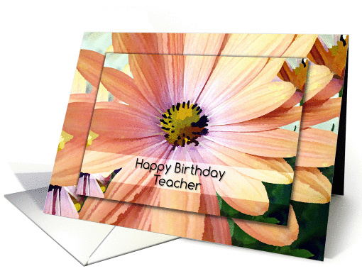 Happy Birthday Teacher Pretty Gerber Daisy Painting card (1213600)