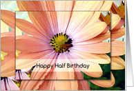 Happy Half Birthday Pretty Gerber Daisy Painting card