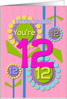 Happy Birthday Little Sister You’re 12 Fun Colorful Flowers card