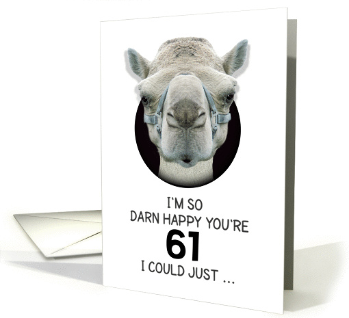 61st Birthday Happy Birthday Funny Camel Humorous Animal card