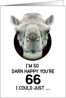 66th Birthday Happy Birthday Funny Camel Humorous Animal card