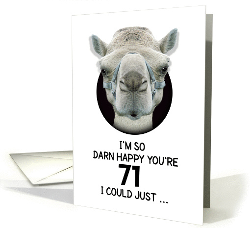 71st Birthday Happy Birthday Funny Camel Humorous Animal card