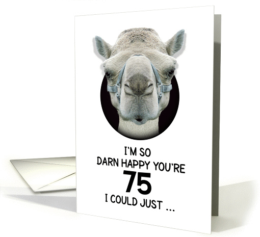 75th Birthday Happy Birthday Funny Camel Humorous Animal card