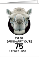 75th Birthday Happy Birthday Funny Camel Humorous Animal card