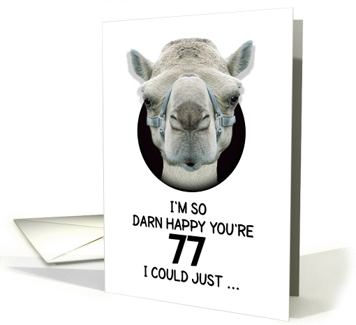 77th Birthday Happy Birthday Funny Camel Humorous Animal card