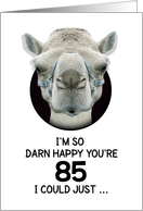 85th Birthday Happy Birthday Funny Camel Humorous Animal card