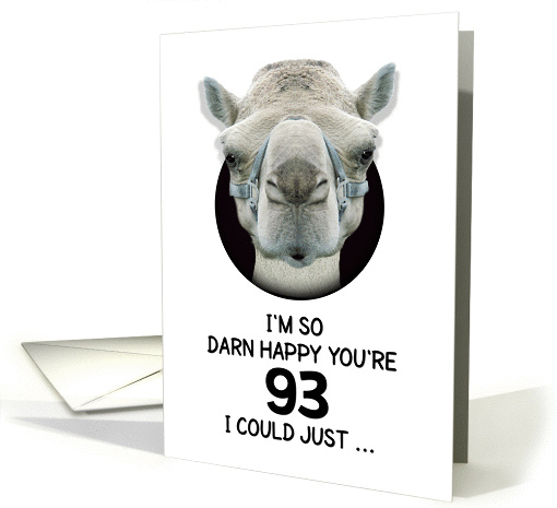 93rd Birthday Happy Birthday Funny Camel Humorous Animal card